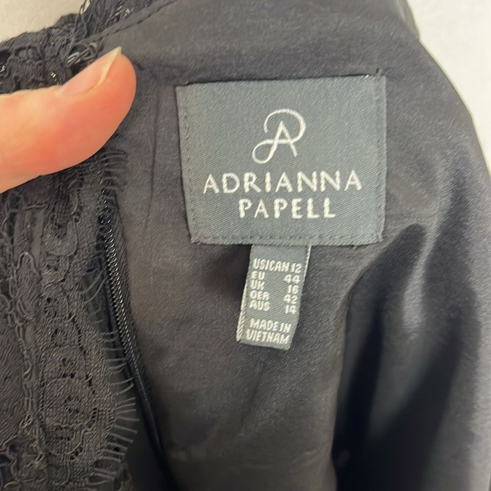 Adrianna Papell Black Lace Knee Length Cocktail Dress - Picture 8 of 8